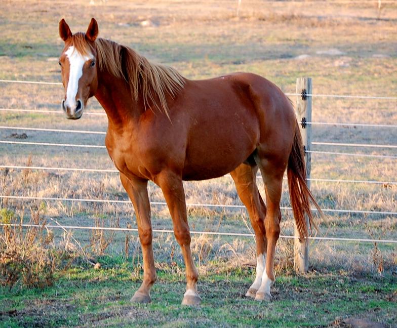 Click on a pictures for more information